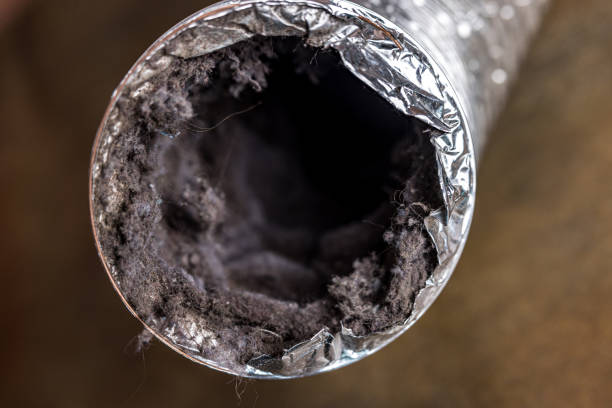 Best Local Air Duct Cleaning Services  in Kelseyville, CA